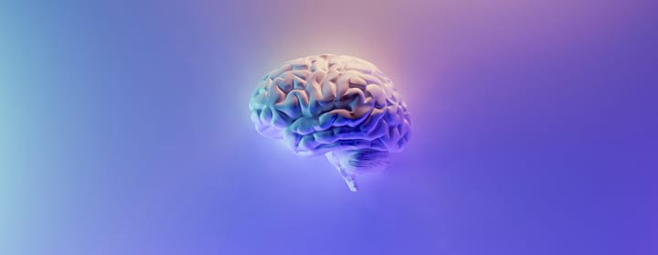 Image of the Brain